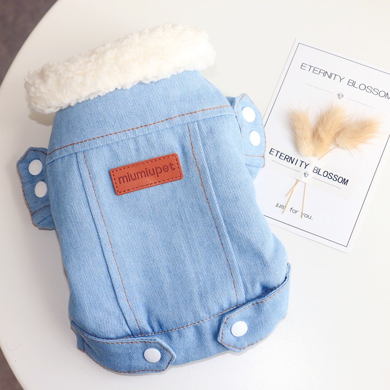 Denim Dog Jacket for Cool-Weather Walks