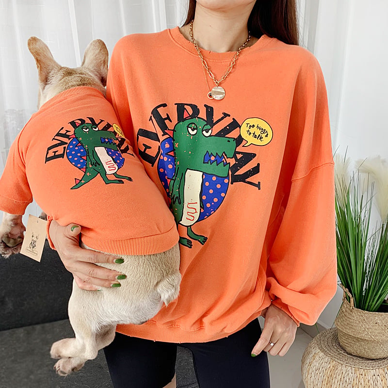 Matching Pet & Owner Outfits — Cute Coordinating Sets for Dogs & Humans