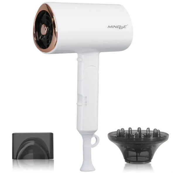 Professional Negative Ion Hair Dryer