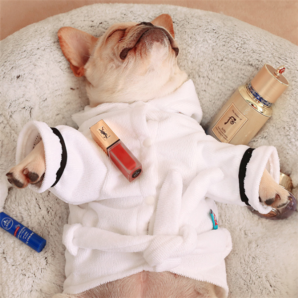 Hooded Cotton Dog Bathrobe