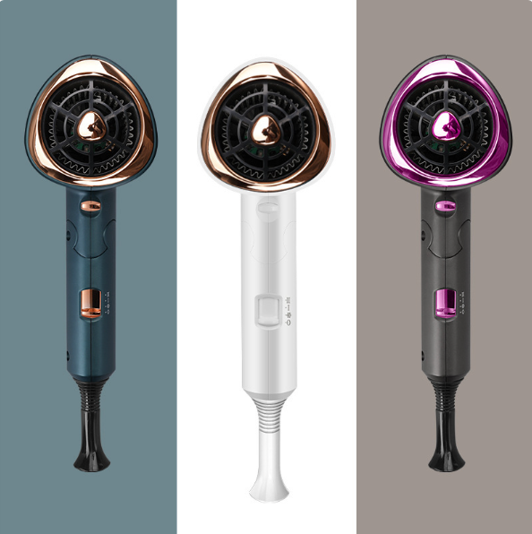 Professional Negative Ion Hair Dryer