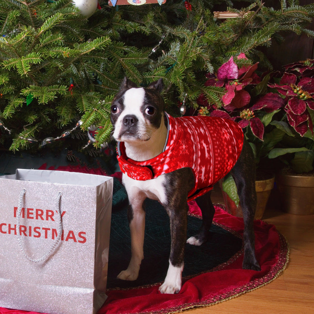 Winter Christmas Sweater for Small Dogs & Puppies — Cozy Holiday Pet Apparel