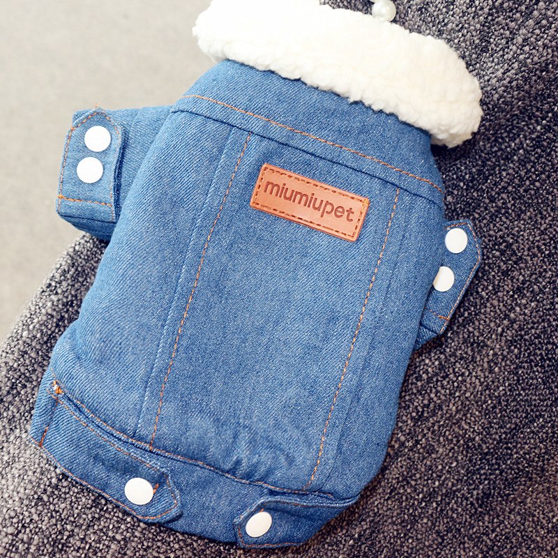 Denim Dog Jacket for Cool-Weather Walks