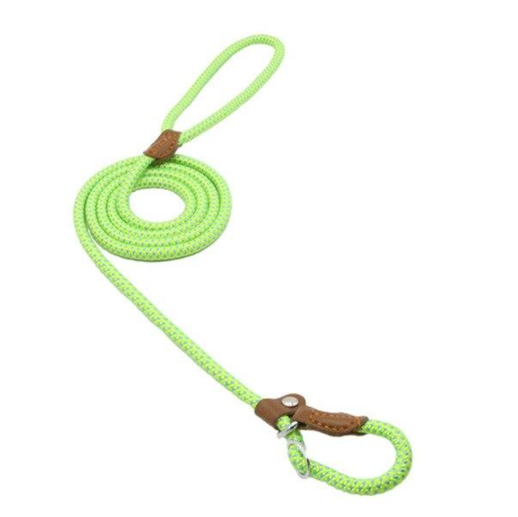 Adjustable Nylon Pup Collar & Leash Set
