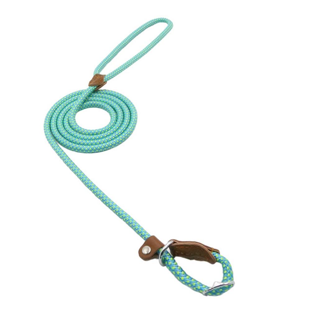 Adjustable Nylon Pup Collar & Leash Set