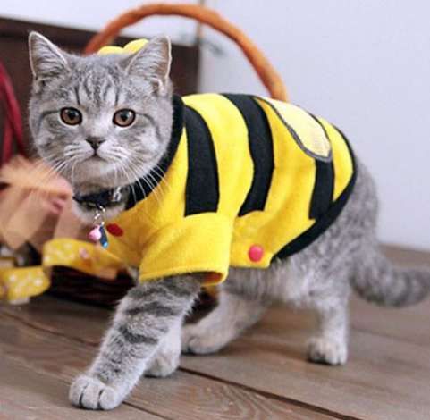 Fleece Bee Costume for Cats and Dogs