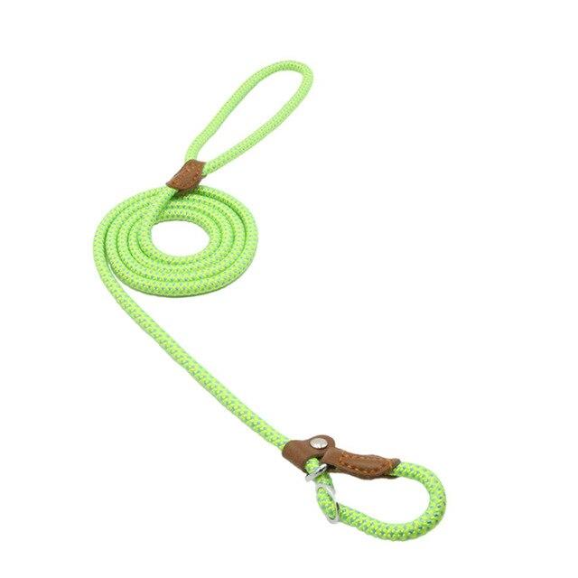 Adjustable Nylon Pup Collar & Leash Set