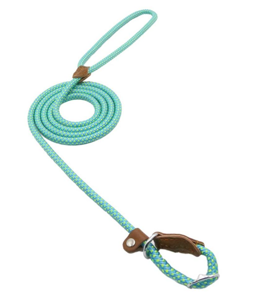 Adjustable Nylon Pup Collar & Leash Set