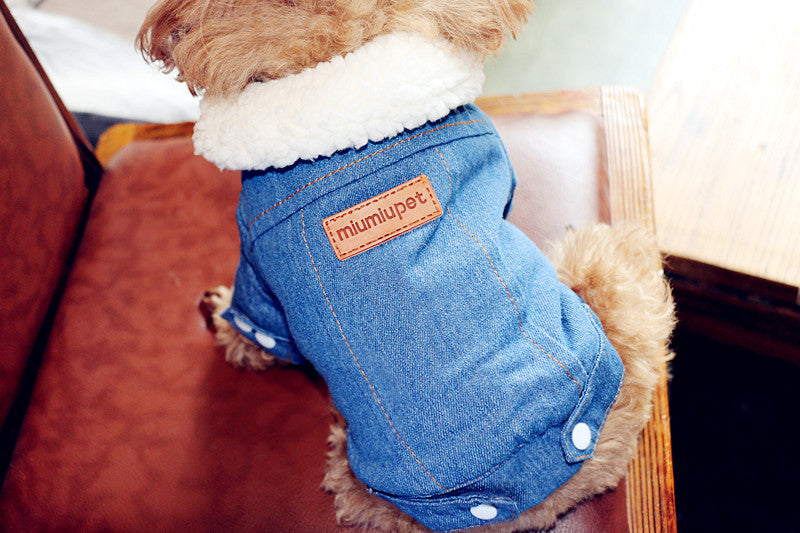 Denim Dog Jacket for Cool-Weather Walks