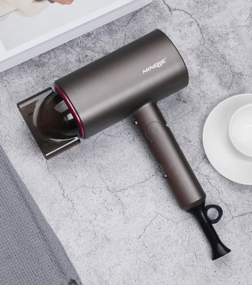 Professional Negative Ion Hair Dryer