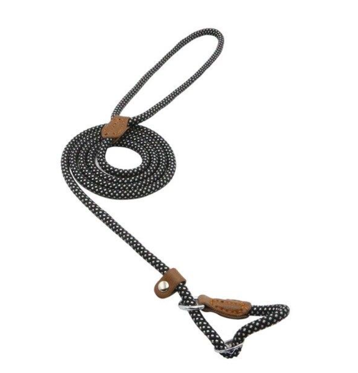 Adjustable Nylon Pup Collar & Leash Set
