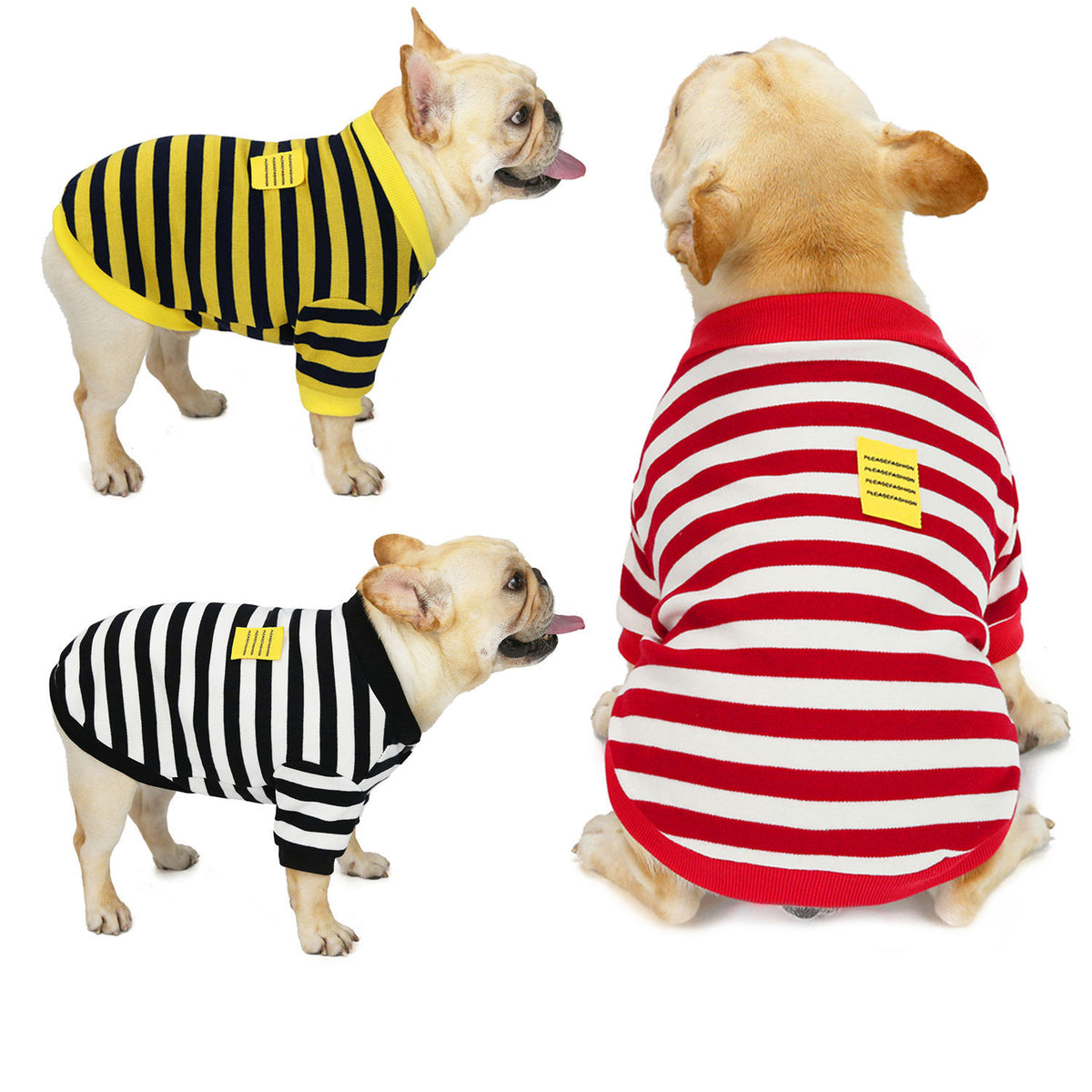 Striped Cotton Dog Sweater for Fall and Winter