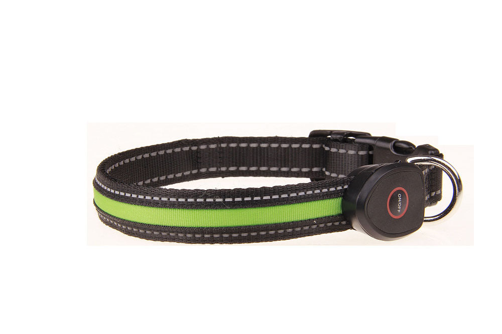 USB-Rechargeable Light-Up Dog Collar