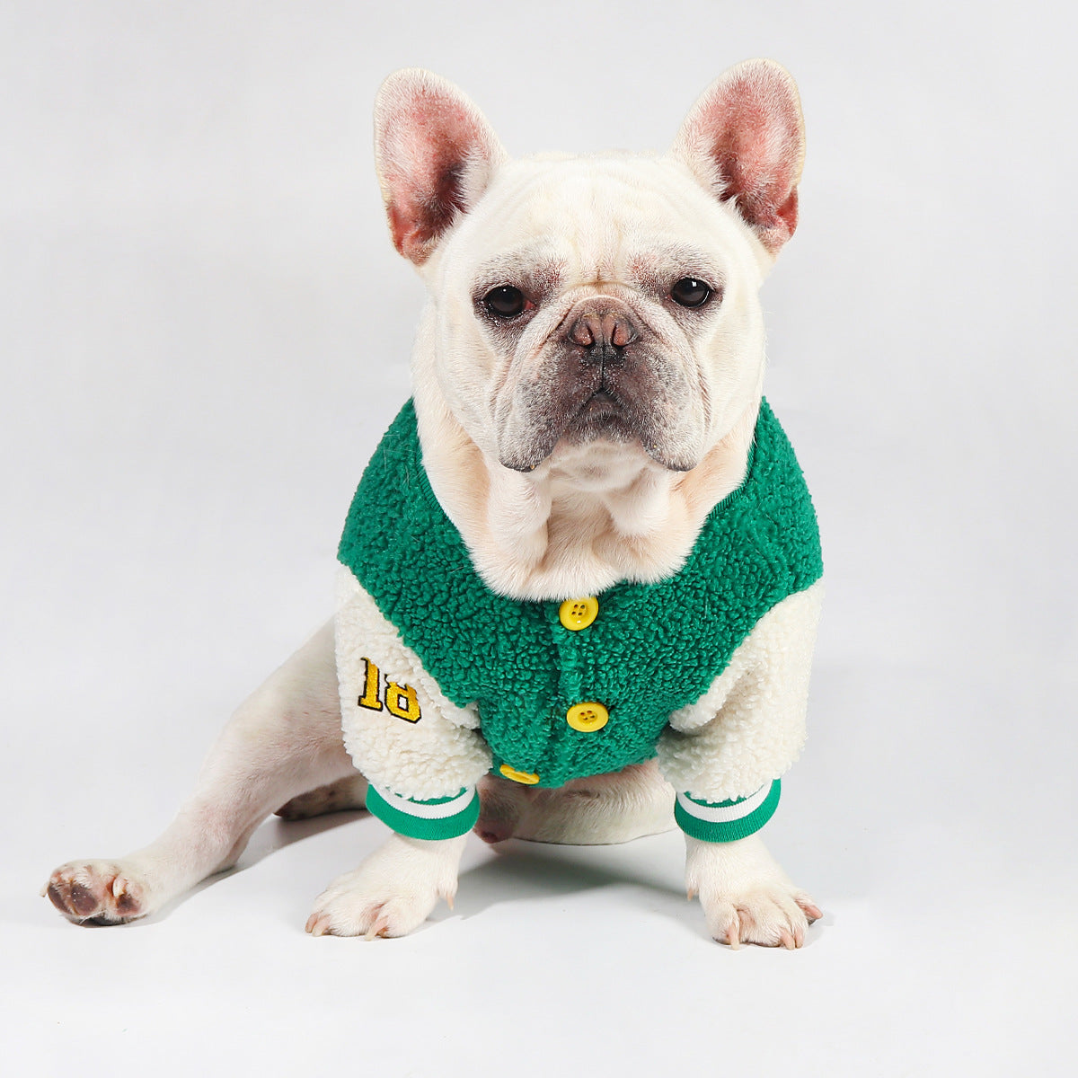 Thick Winter Baseball Coat for Dogs — Warm & Stylish Cold Weather Jacket