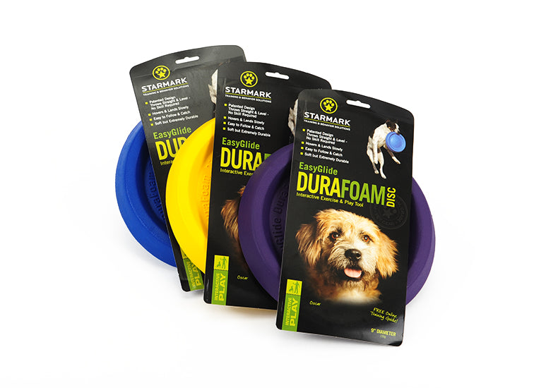 Blue Dog Frisbee, 23 cm
