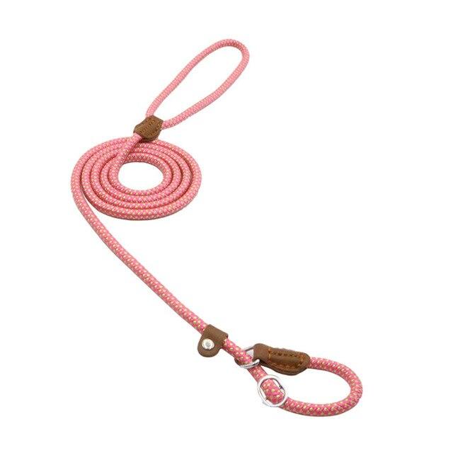 Adjustable Nylon Pup Collar & Leash Set