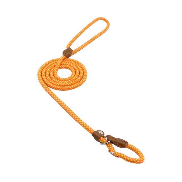 Adjustable Nylon Pup Collar & Leash Set