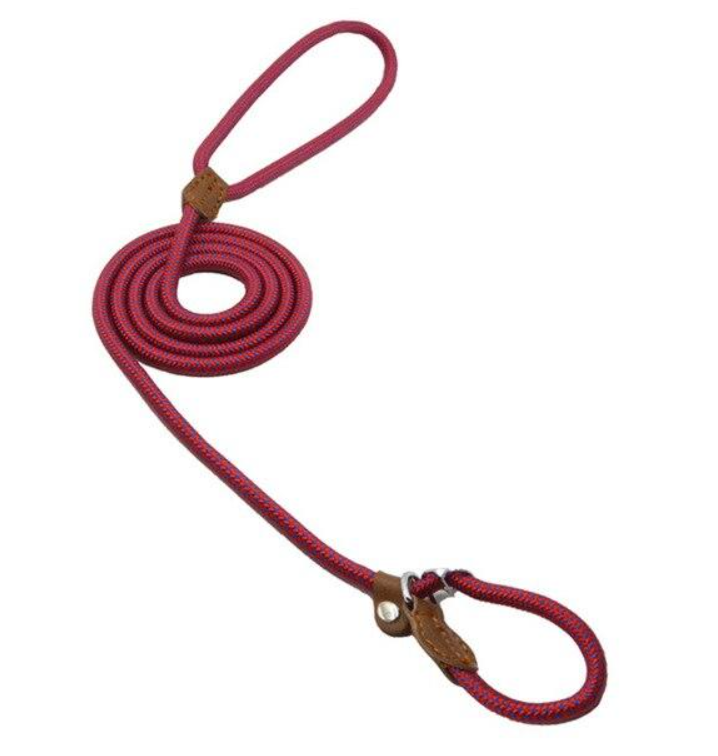 Adjustable Nylon Pup Collar & Leash Set
