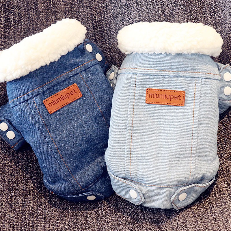 Denim Dog Jacket for Cool-Weather Walks