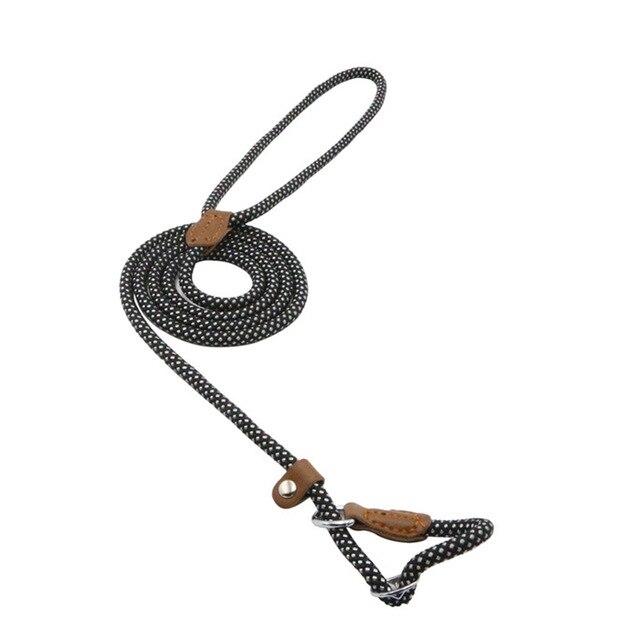 Adjustable Nylon Pup Collar & Leash Set