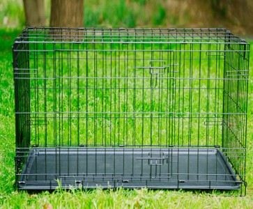 Folding Wire Dog Crate with Toilet Feature