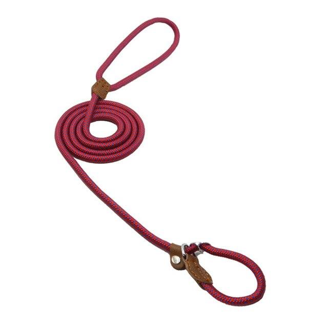 Adjustable Nylon Pup Collar & Leash Set