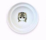 ErgoCat Bowl Stand for Healthy Dining