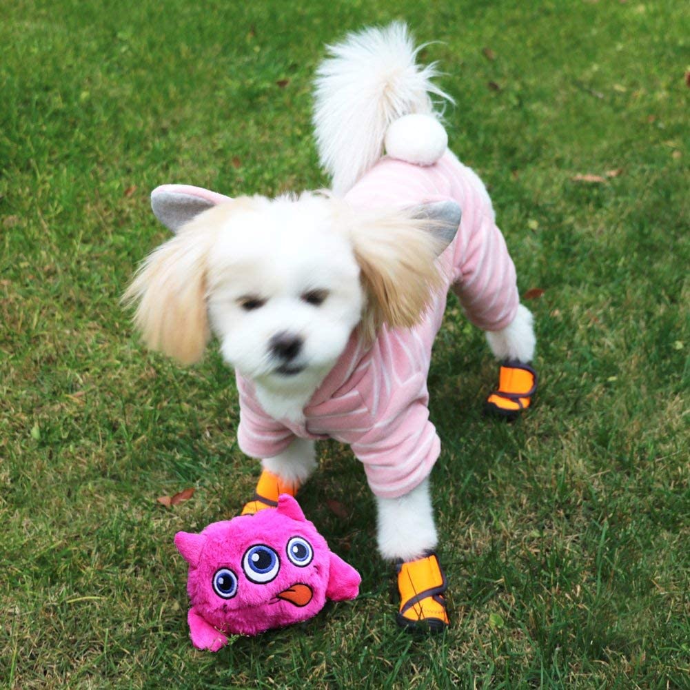 Interactive Plush Dog Toy
