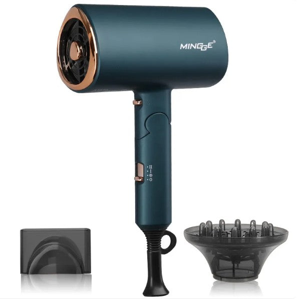 Professional Negative Ion Hair Dryer