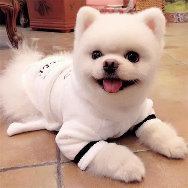Hooded Cotton Dog Bathrobe