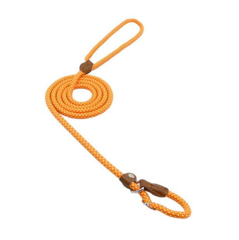 Adjustable Nylon Pup Collar & Leash Set