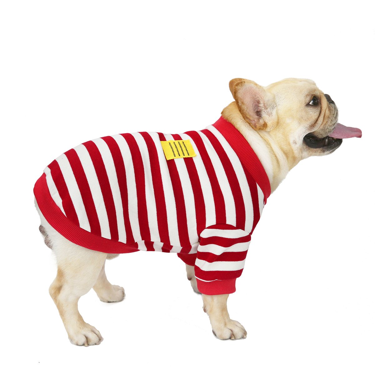 Striped Cotton Dog Sweater for Fall and Winter