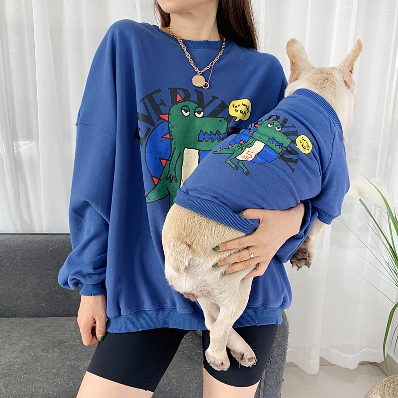 Matching Pet & Owner Outfits — Cute Coordinating Sets for Dogs & Humans
