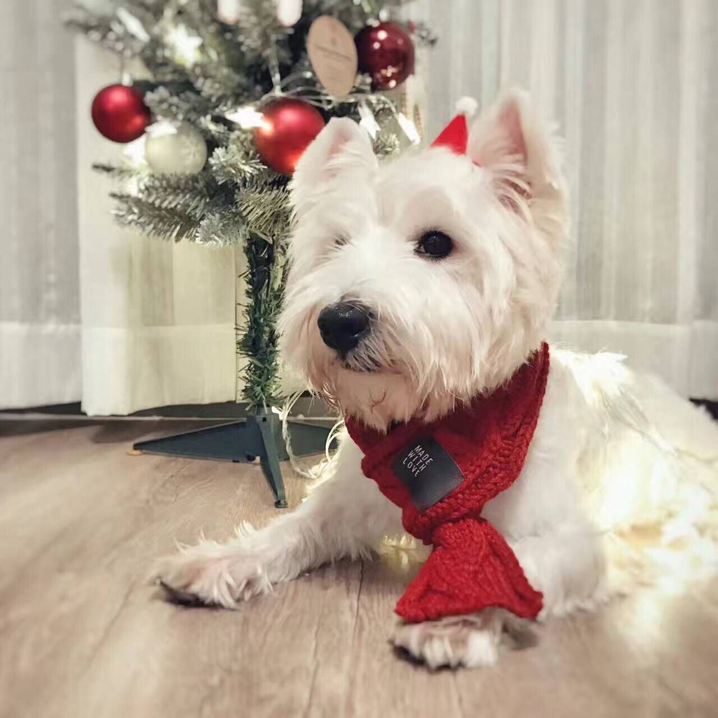 Wool Pet Scarf with Bow-Tie Detail