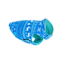 Winter Christmas Sweater for Small Dogs & Puppies — Cozy Holiday Pet Apparel
