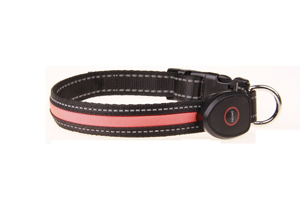 USB-Rechargeable Light-Up Dog Collar