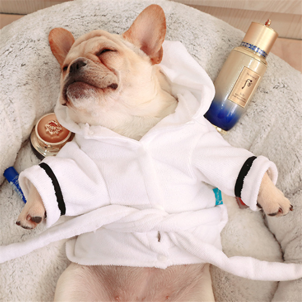 Hooded Cotton Dog Bathrobe
