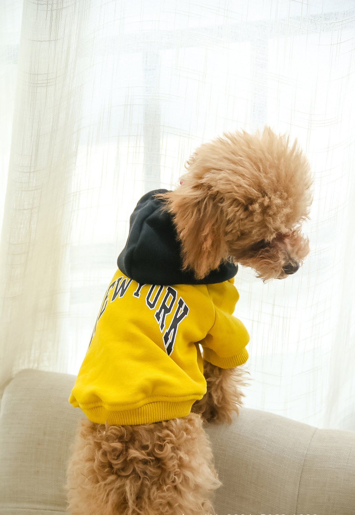 Chic Pet-Owner Matching Sweaters