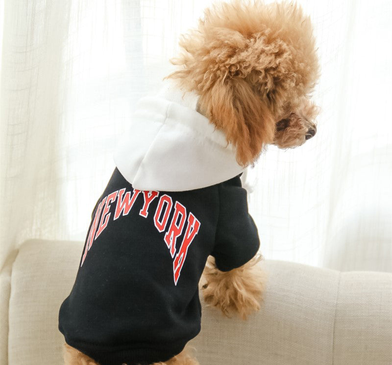 Chic Pet-Owner Matching Sweaters