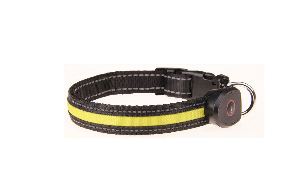 USB-Rechargeable Light-Up Dog Collar