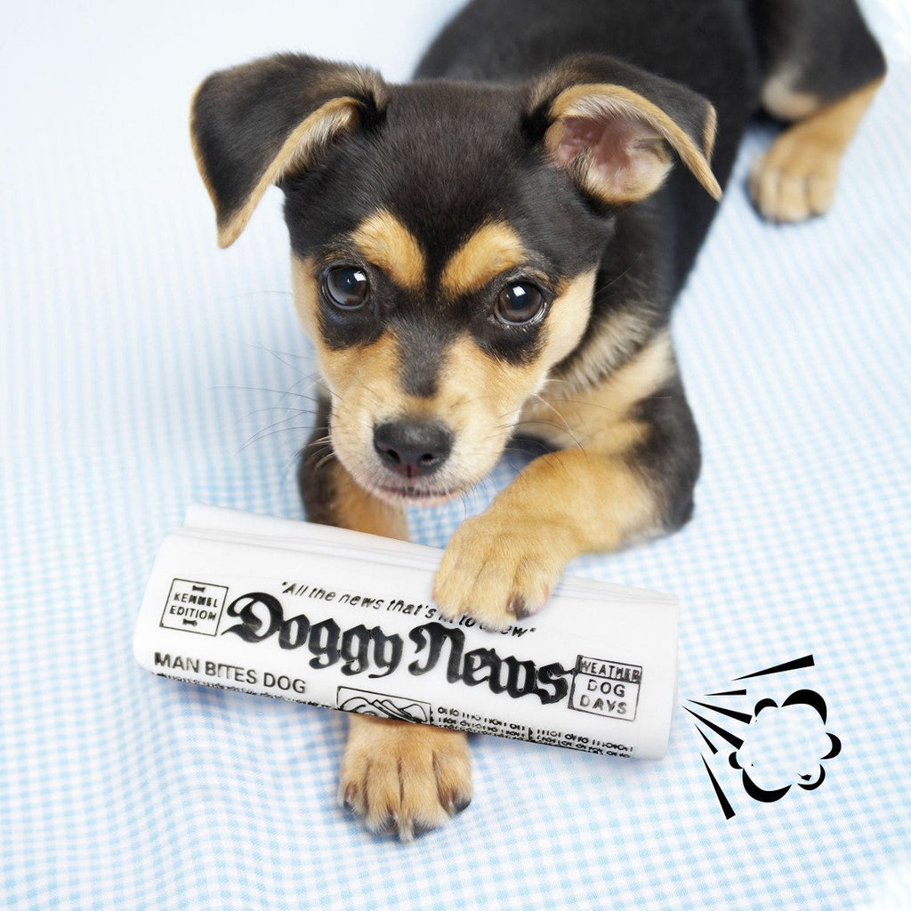 Newspaper-Style Squeaky Dog Toy