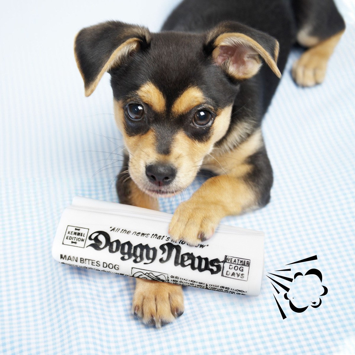 Newspaper-Style Squeaky Dog Toy