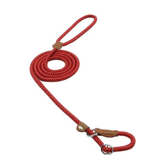 Adjustable Nylon Pup Collar & Leash Set